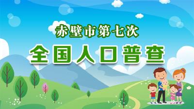 赤壁市第七次全国人口普查