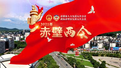 2021两会特别报道
