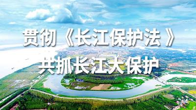 贯彻《长江保护法 》  共抓长江大保护