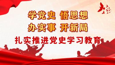 学党史 悟思想 办实事 开新局