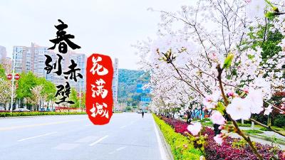 春到赤壁花满城