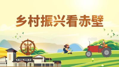 乡村振兴看赤壁