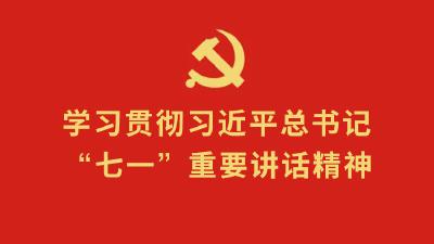 学习贯彻习近平总书记“七一”重要讲话精神