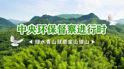 中央环保督察进行时