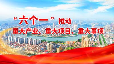 “六个一”推动重大产业、重大项目、重大事项
