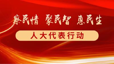 察民情、聚民智、惠民生代表行动