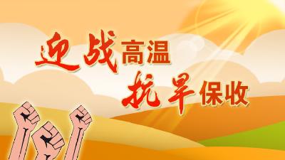 迎战高温 抗旱保收