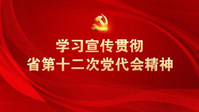 学习宣传贯彻省第十二次党代会精神