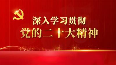深入学习贯彻党的二十大精神