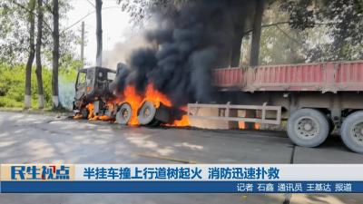 【民生视点】半挂车撞上行道树起火 消防迅速扑救