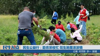 【民生视点】民生公益行：助农采收忙 花生地里浓浓情