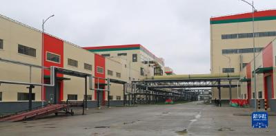 中企承建白俄罗斯大型农工综合体项目正式投产