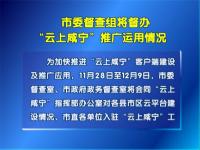 市委督查组将督办“云上咸宁”推广运用情况