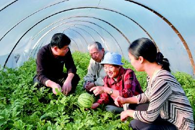 中国人实现“吃瓜自由”得感谢这位奶奶