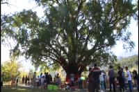 2016年10月7日旅游大洪山