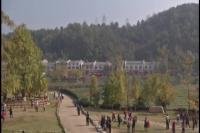 新闻特写：赏千年古银杏 品特色农家乐