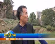 2017年11月14日社会全方位