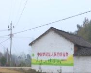 2017年11月20日社会全方位