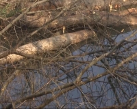 2017年12月12日 社会全方位