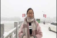 2018年1月25日 社会全方位