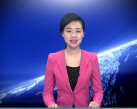 2018年1月11日 随县新闻