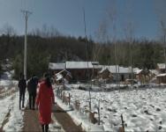 县文体局：迅速整改 强化督办 确保惠农政策落到实处