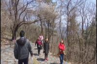 2018年3月23日旅游大洪山