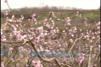 2018年3月23日社会全方位