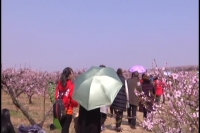 2018年3月23日随州新闻