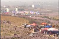 2018年3月26日 社会全方位