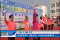 2018年4月3日随县新闻