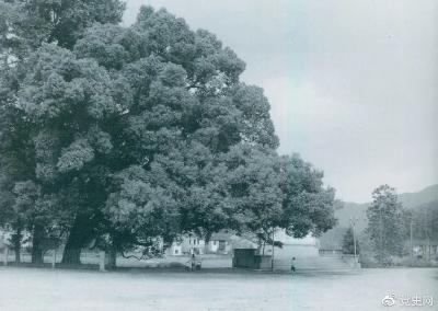 党史百年天天读｜9月29日