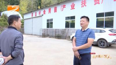 V视| 《随州楷模 最美退役军人》 雷大成：建功乡村振兴“新战场”
