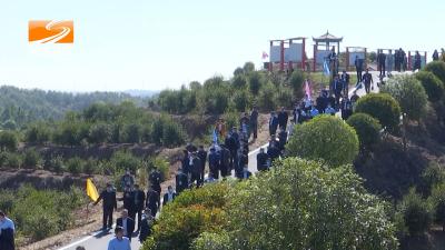 V视 | 全省油茶产业扩面提质增效行动启动暨森林防火工作会议强调  扎实开展油茶产业扩面提质增效行动 推动林业高质量发展