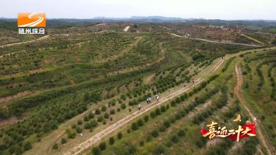 V视| 《喜迎二十大》  引资10亿元  种植23万亩
随县油茶产业发展势头强劲