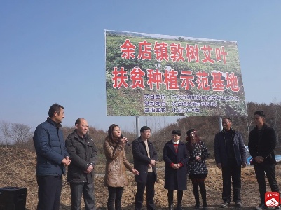 余店镇敦树艾叶基地扶贫种植示范基地启动