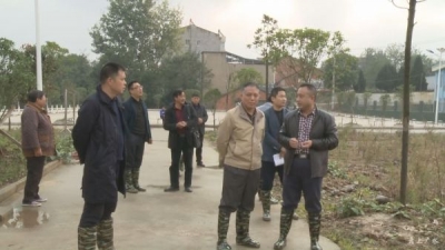 省三峡办副主任,省易地扶贫搬迁办公室专职副主任丁凡璋到我市调研