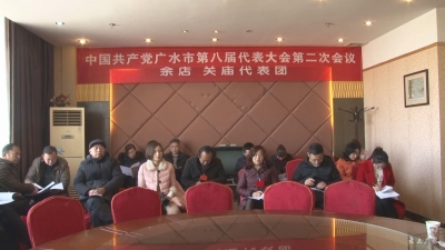 刘秀玲等参加讨论余店,关庙代表团领导的化学初中v化学软件图片