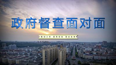 《政府督查面对面》短评之十四:擦亮小城镇 扮靓新农村