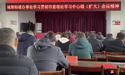 城郊街道办事处学习贯彻市委理论学习中心组（扩大）会议精神