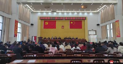 長嶺鎮第十一屆人民代表大會第三次會議順利召開