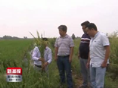新播报171010.mp4