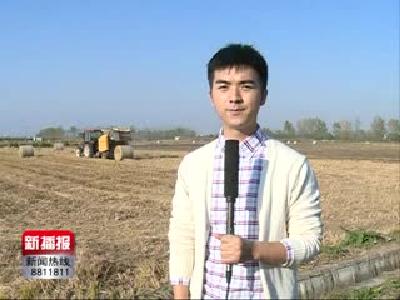 新播报171106.mp4