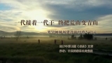  终把荒山变青山