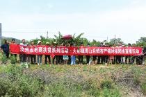 汝州 脱贫攻坚勇奋楫 乡村振兴续奋斗