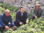 【脱贫攻坚看山西】决胜2020