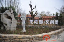 脱贫攻坚绘就山东新图景