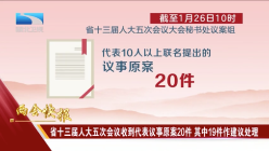 湖北省十三届人大五次会议收到代表议事原案20件 其中19件作建议处理