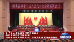 湖北省十三届人大五次会议举行第二次全体会议