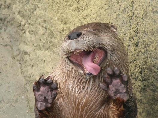 示范正确的舔屏姿势